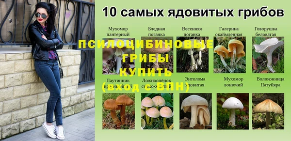 МДМА Дмитровск