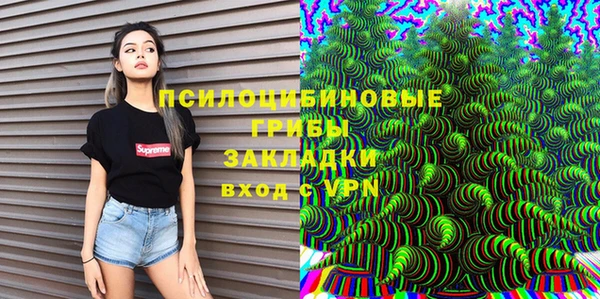 дмт Дмитриев