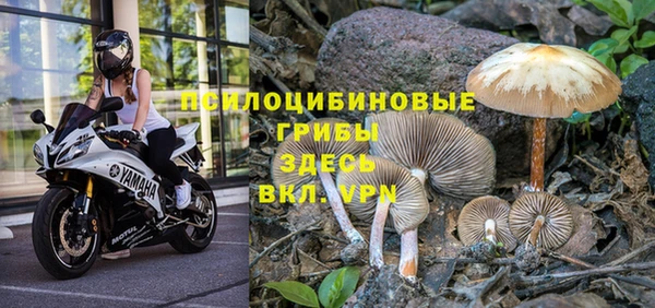 МДМА Дмитровск