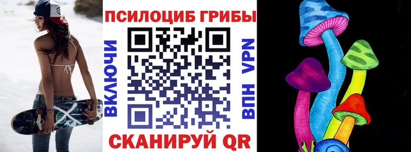 Галлюциногенные грибы мицелий  блэк спрут ССЫЛКА  Ейск 
